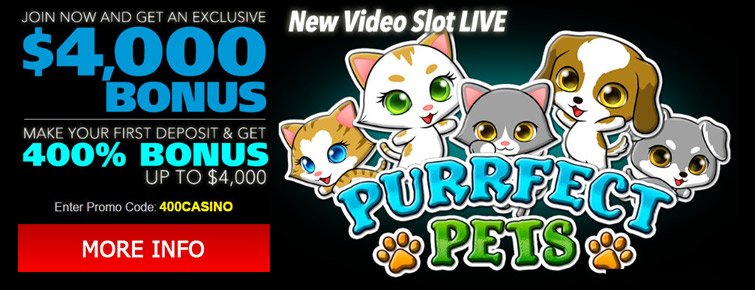 Claim Big Bonuses on the New Slot Game Purrfect Pets